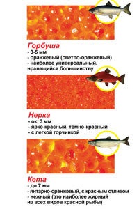 Vörös kaviár szoptatós anyáknak (kaviár) Vörös kaviár szoptatós anyáknak