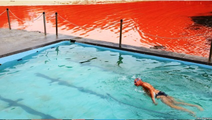 Red árapály (13 fotó) - Waterworld, Water World - Online Magazine (motorcsónakok) Red árapály (13 fotó) - Waterworld, Water World - Online Magazine