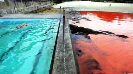 Red árapály (13 fotó) - Waterworld, Water World - Online Magazine