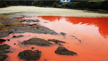 Red árapály (13 fotó) - Waterworld, Water World - Online Magazine (motorcsónakok) Red árapály (13 fotó) - Waterworld, Water World - Online Magazine