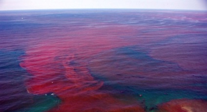 Red árapály (13 fotó) - Waterworld, Water World - Online Magazine (hőhullámok) Red árapály (13 fotó) - Waterworld, Water World - Online Magazine