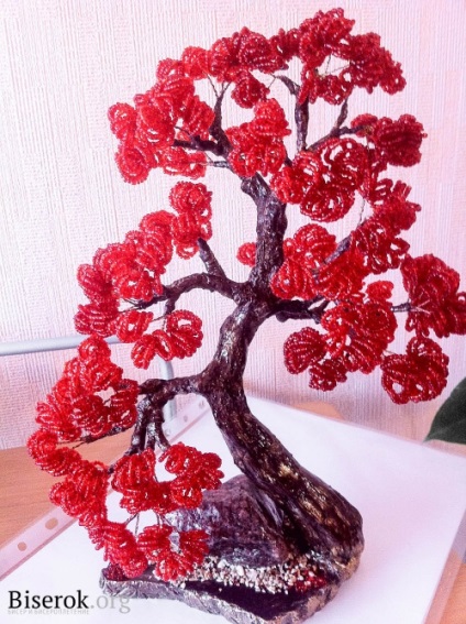 Piros gyöngyös bonsai