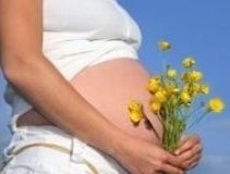 Krém terhességi csíkok a terhes nőknek, ami a legjobb választani biolans, klirvin, byubhen, AVENT, Mustela, mama