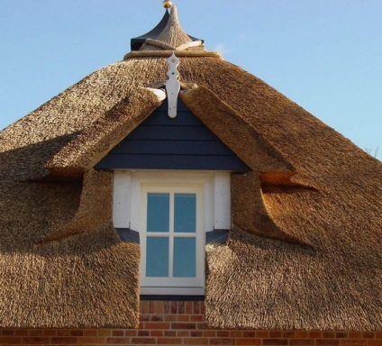A tető nád előnyeiről és hátrányairól, a telepítés funkciók, álom ház