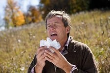 Allergia kezelés népi jogorvoslati, a hagyományos orvoslás