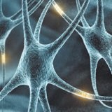 Kényeztesse kettős hemiplegia - szike - orvosi információk és oktatási portál (bénulás) Kényeztesse kettős hemiplegia - szike - orvosi információk és oktatási portál