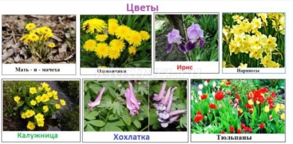 Lepbuk tavaszi óvodai kezüket (saját) Lepbuk tavaszi óvodai saját kezűleg