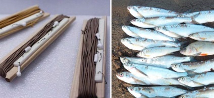 Ragályos sabrefish a gumi gyártási felszerelés, horgászfelszerelés