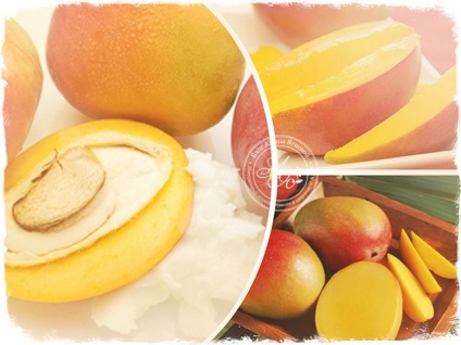 Mango vaj - szokatlan tulajdonságai és alkalmazásai