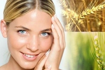 Búzacsíra olaj arc terápiás és kozmetikai tulajdonságai, jelzések és ellenjavallatok