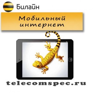 Mobilinternetet Beeline hogyan lehet csatlakozni, csomagok és költség - Rostelecom - szolgáltatás, tarifák,