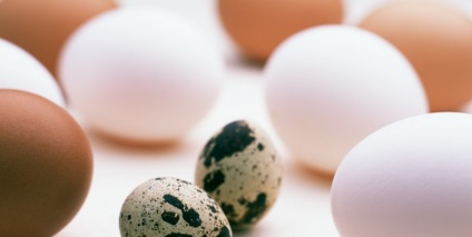 Tudunk hízik a víz - hasznos tanácsokat (víz) Tudunk hízik a víz - hasznos tippek
