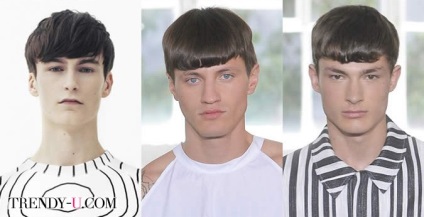 Чоловічі стрижки та зачіски 2014 класичні і як у Елвіса, trendy-u