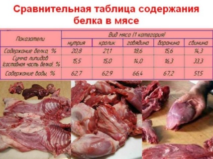 Hús nutria előnyei és hátrányai