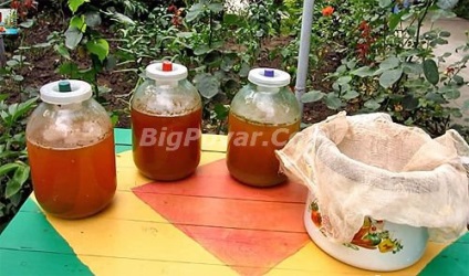 Drink Sidor-lépésre recept fotók és magyarázatok (lépésről lépésre) Drink Sidor-lépésre recept fotókkal és magyarázatokkal
