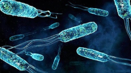 Sérti a mikroflóra férfiak Okok és kezelés