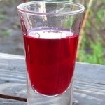 Tinktúra áfonya vodka (alkohol) otthon (áfonya) Tinktúra áfonya vodka (alkohol) otthon