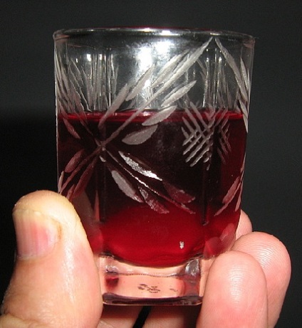 Tinktúra áfonya vodka (alkohol) otthon (vodka) Tinktúra áfonya vodka (alkohol) otthon