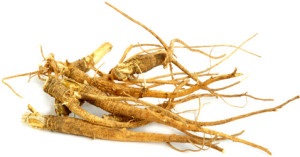 Ginseng tinktúra receptek és főzési