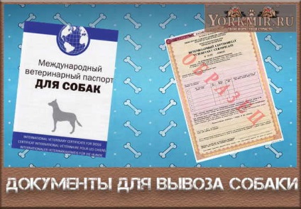A dokumentum szükséges az export kutyák külföldön