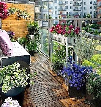 Építőipari az erkély virágok - 16 változatok a fotó