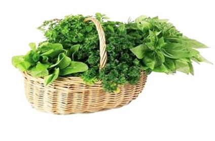 A szervezet tisztító gyógynövények - módon, a listát a növényi tisztító a test egészségét