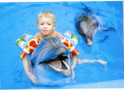 Mintegy delfin (delfin) Mintegy delfin