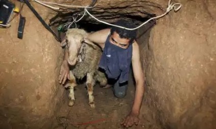 Kreatív módon a csempészet, érdekességek (csempészet) Kreatív módon a csempészet, érdekességek