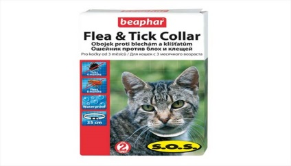 Flea nyakörvek macskák és kiscicák útmutatást, hogyan kell eljárni