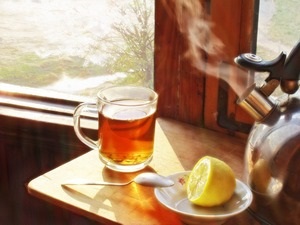 Jellemzők tea rooibos fajták, receptek, hasznos tulajdonságok