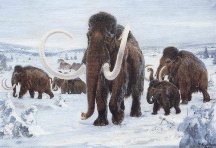 Honnan jöttek mamutok és miért haltak ki, amiért az emberek nem vadásszák mamutok 10 legérdekesebb