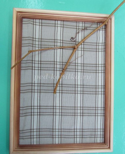 Panel szőlő saját kezűleg (szőlő) Panel szőlő saját kezűleg