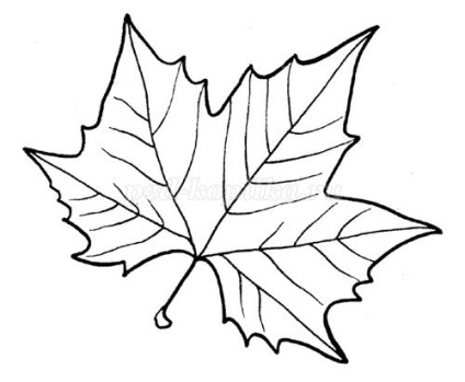 Panel szőlő saját kezűleg (panelek) Panel szőlő saját kezűleg