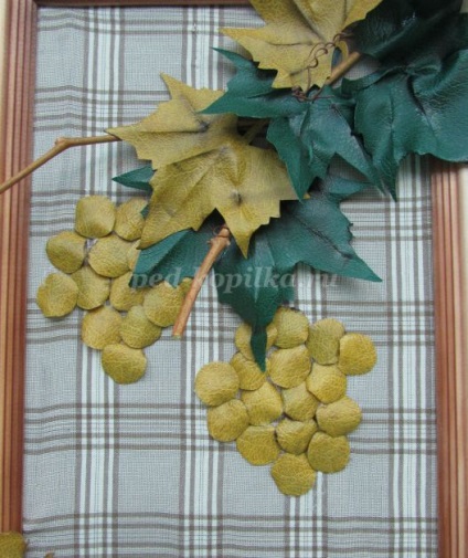 Panel szőlő saját kezűleg (szőlő) Panel szőlő saját kezűleg