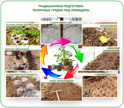 Felkészülés a talaj üvegházban paradicsom tavasszal walkthrough