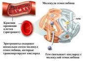 Sweat illata macska vizelet okok (illat) Sweat illata macska vizelet okai