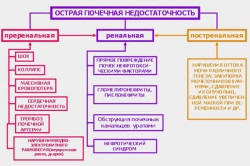 Előkészületek veseelégtelenség antibiotikumok és más gyógyszerek (hatóanyagok antibiotikumok alkalmazása veseelégtelenség kezelésére) Kábítószer veseelégtelenség antibiotikumokkal és más gyógyszerekkel