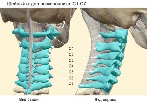 Kiemelkedés a lemez a nyaki gerinc okozza, tünetei, kezelése