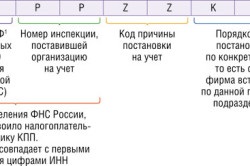 Magyarázat fogalmak BIN vagy OGRN (OGRN) Dekódolás fogalmak BIN vagy OGRN