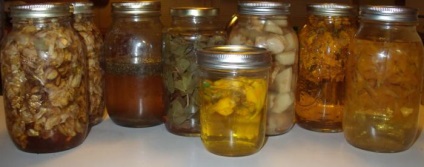 Recept tinktúra a pálinka (holdfény recept tinktúrák) Recept tinktúra a holdvilág