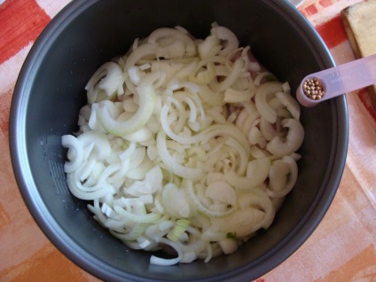 Recept sacivi csirkék (csirkék Satsivi multivarka Panasonik recept) Recept Satsivi csirkék