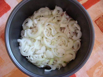 Recept sacivi csirkék (csirkék Satsivi multivarka Panasonik recept) Recept Satsivi csirkék