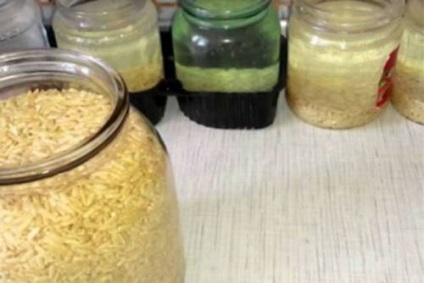Rice étrend osteochondrosis kezelés az ízületek rizs (rizs) Rice diéta osteochondrosis kezelés az ízületek rizs