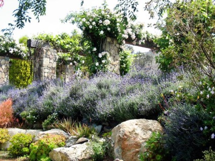 Romantikus kertben, a stílusa Provence - 36 kép kerttervezés stílusában francia ország,