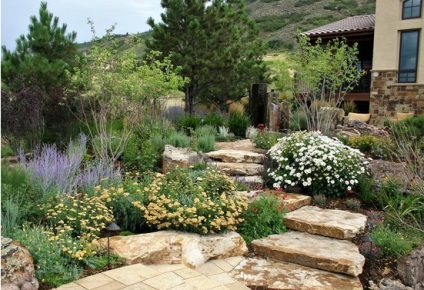 Romantikus kertben, a stílusa Provence - 36 kép kerttervezés stílusában francia ország,