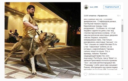 Magyar ellenzék fenyegetik kutya Kadirov Tarzan voronz