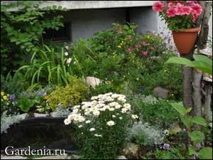 Sadiq egy apartmanházban (kert helyén Gardenia) Sadiq egy apartmanházban