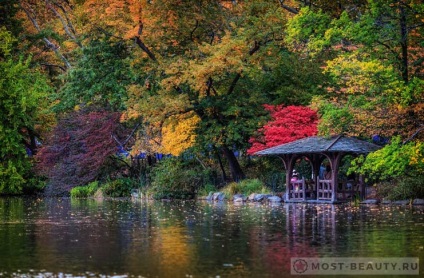 A legszebb pavilon a világ (sok kép) (sok) A legszebb pavilon a világ (sok kép)