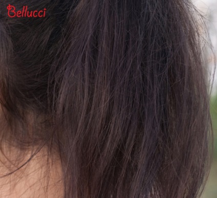 Boldogság a hajat a Lebel - a szolgáltatások vélemény - makeit-up - a kozmetikai vélemények