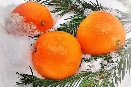 Titkok főzés kompótok mandarint